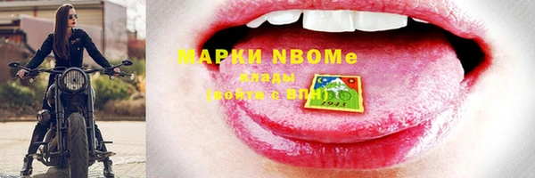 прущий лед Бородино