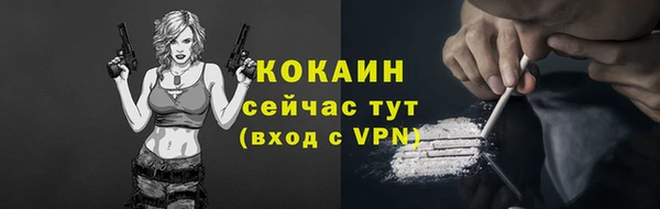 мескалин Богданович