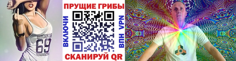 Галлюциногенные грибы MAGIC MUSHROOMS  цены наркотик  Медынь 